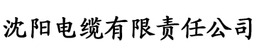 换爱疯X经历电缆厂logo